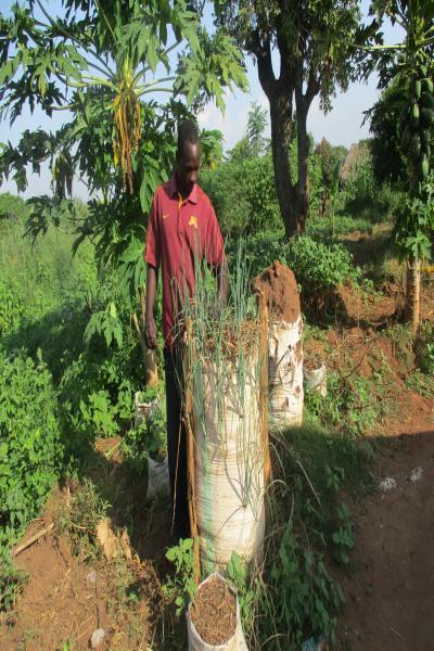 Climate Change Adaptation and Agroecology