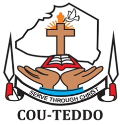 TEDDO Logo